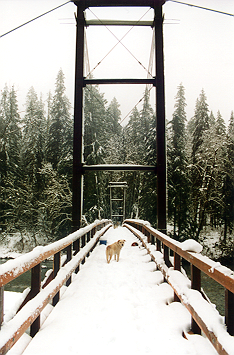 Baker River Bridge during winter.