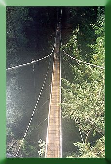 Completed bridge from above