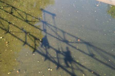 photo by Carroll Vogel