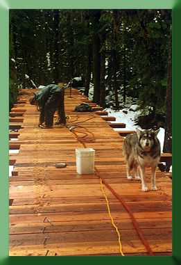 Blum Creek decking, milled from wester red cedar salvaged from site.