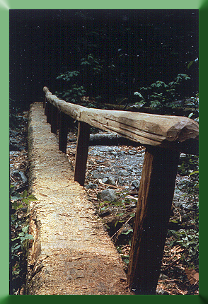 Fallen log fitted with cedar handrail by Steve Wennstrom and crew near Mt. Baker, WA, 1988.