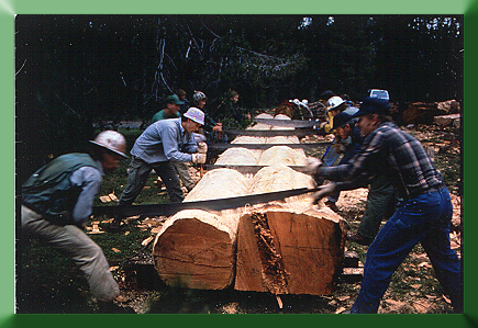 Crew making relief cuts for hewing the deck of bridge near Bend, OR, 1989.