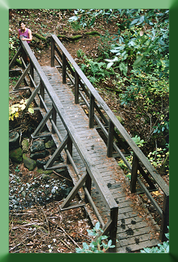 Bothe-Napa State Park, CA.  This bridge was built in one day by Carroll Vogel and crew during a training program in 1987.
