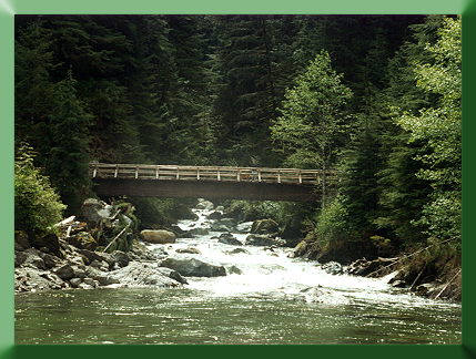Noisy Creek Bridge from Baker Lake, WA, in 1998.