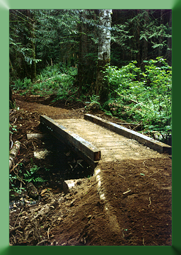 Simple stringer bridge with treated timber deck constructed at Walker Valley ORV area, WA, 1994.